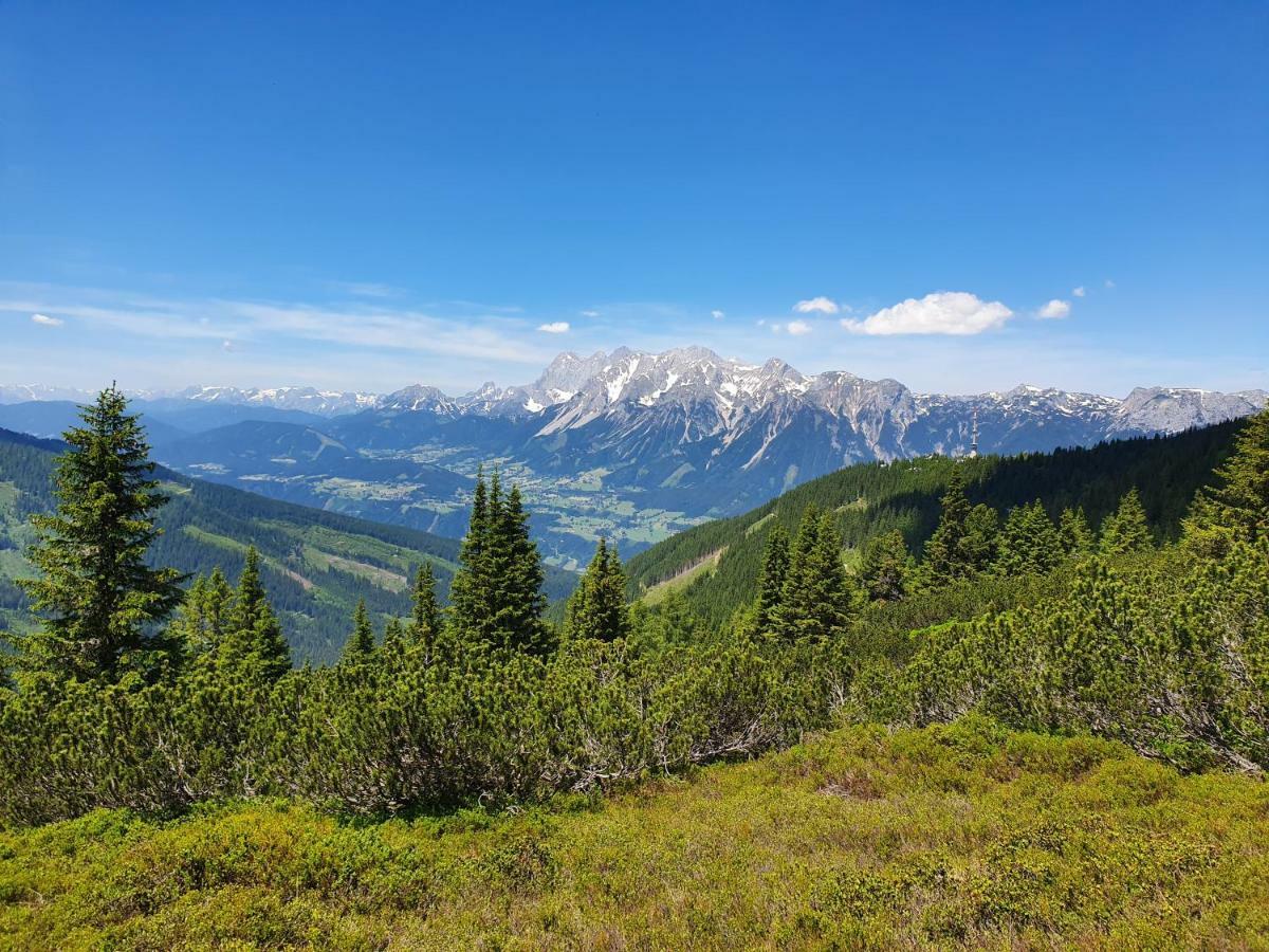 Appartement Am Hauser Kaibling Экстерьер фото